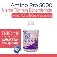 Amino Pro 5000 Amino Asit 500 ml